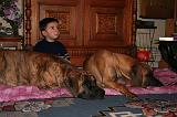 ENFANT ET CHIEN 578